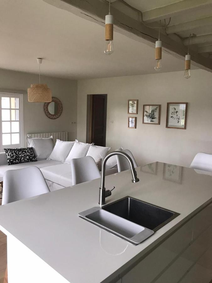 Ambiance Seine - appartement 46m2 terrasse - Hortensia Thomery Buitenkant foto
