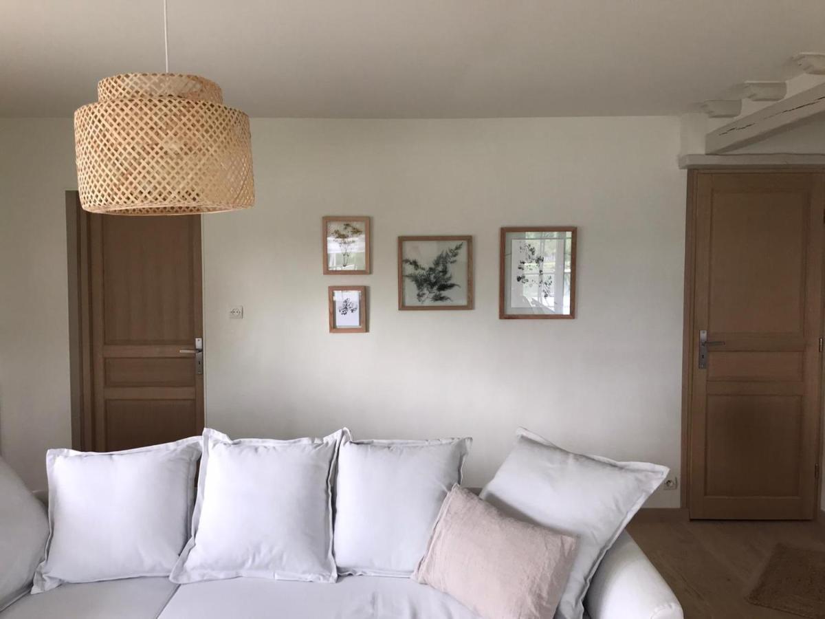 Ambiance Seine - appartement 46m2 terrasse - Hortensia Thomery Buitenkant foto