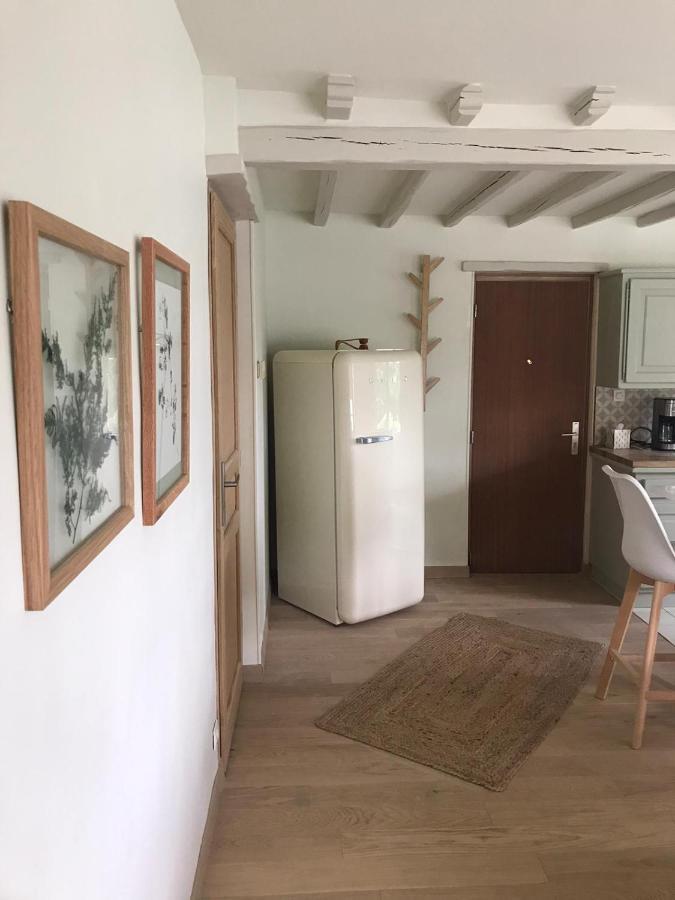 Ambiance Seine - appartement 46m2 terrasse - Hortensia Thomery Buitenkant foto